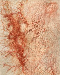 an image of red veins on white paper