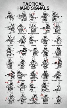 Swat Training, Military Alphabet, Supraviețuire Camping, Close Combat, Materi Bahasa Jepang, Military Decor, Sign Language Alphabet, Hand Signals, Police Gifts