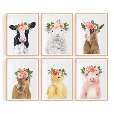 four pictures of animals with flowers on their heads and one cow in the middle is wearing a flower crown