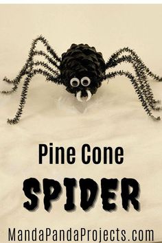 a spider made out of pine cones with the words pine cone spider