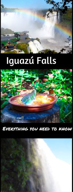 two pictures with the words iguazi falls, everything you need to know about it