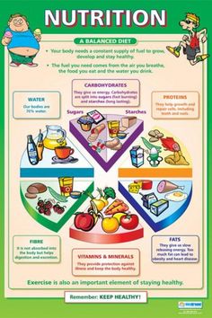 Nutrition Tips and Guide Food Chart For Kids, Balanced Diet Chart, Healthy Eating Plate, Nutrition Poster, Nutrition Activities, Healthy Food Habits, Nutrition Chart, Diet Chart, Food Charts