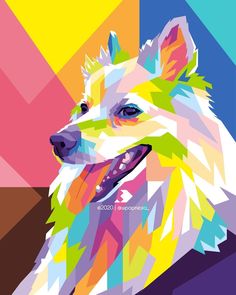 a colorful dog is shown on a multicolored background