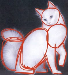 a white cat sitting on top of a black floor next to a red line drawing