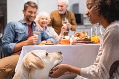 a group of people sitting around a table with a dog