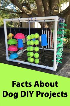 tennis balls and rackets are hung on the back of a truck in front of a tree