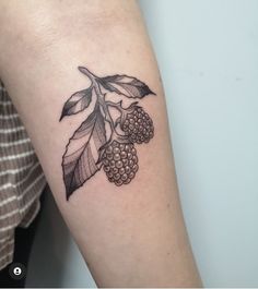 a black and white photo of a branch with berries on the left side of the arm