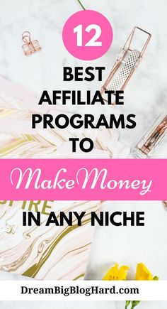 the text reads, 12 best affiate programs to make money in any niche