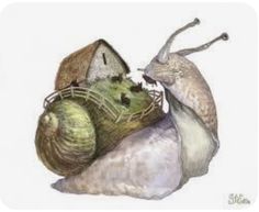 a drawing of two snails in a shell with their nests on top of each other