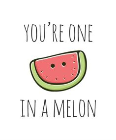 a watermelon slice with the words you're one in a melon