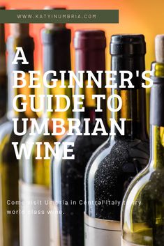 bottles of wine sitting next to each other with the words beginner's guide to umberian wine