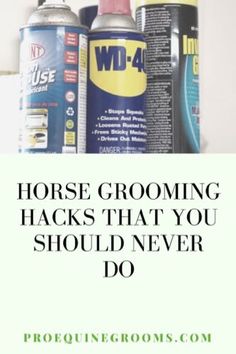 horse grooming hacks that you should never do by proquine grooms