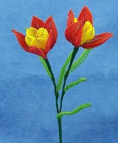 two red and yellow flowers with green stems against a blue background, in the foreground