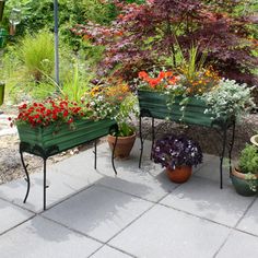 several potted plants are lined up next to each other on a patio with stone pavers