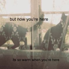 two black bears standing in front of a window with the words, but now you're here it's so warm when you're here