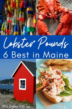 lobsters and other seafood are featured in this collage with the title lobster pounds 6 best in maine