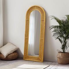 a large mirror sitting next to a potted plant