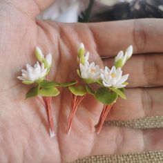 three small white flowers sitting on top of each other in someone's hand,