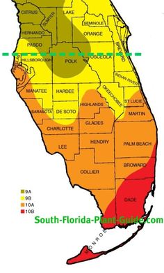 a map showing the average temperature in florida