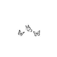 three butterflies flying in the air on a white background