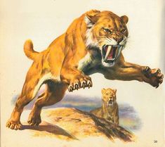 an image of a lion attacking a cub