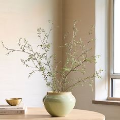 a vase with some plants in it sitting on a table next to a book and bowl