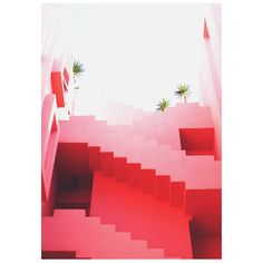 an abstract photograph of stairs leading up to a building with palm trees in the background