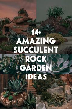 14+ amazing succulent rock garden ideas. Succulent Garden Landscape, Red Succulents, Rock Plants, Succulent Landscape Design, Waterwise Garden