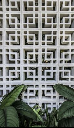 some plants are sitting in front of a white wall with geometric designs on it's sides