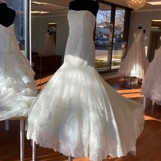 wedding dresses are on display in a store