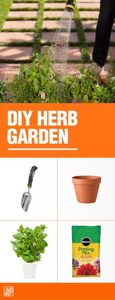 a woman watering plants in her garden with the words diy herb garden on it