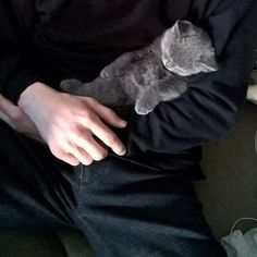 a person holding a gray cat in their lap and wearing a black shirt with white writing on it