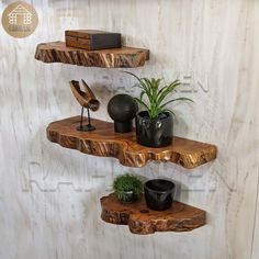 three wooden shelves with plants and vases on them