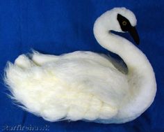 a white swan is laying down on a blue background