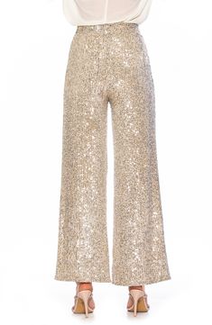 Sparkling sequins bring dazzling allure to a pair of stretch pants that are elevated by a wide leg and mid rise. Banded waist Invisible back zipper 90% polyester, 10% spandex; lining content: 100% polyester Hand wash cold, lay flat to dry Imported Model stats: 5'10", 32" bust, 25" waist, 36" hip. Model is wearing size X-Small. Sequin Pants, Stretch Pants, Lay Flat, Nordstrom Rack, Harem Pants, Pajama Pants, Mid Rise, Fashion Looks, Sequin