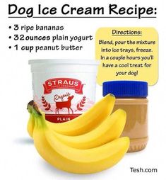 a banana, yogurt and peanut butter are featured in this ad for dog ice cream recipe