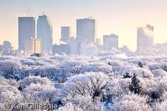 the city skyline is covered in frosted trees