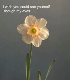 a white flower with an orange center in front of a blue background that says, i wish you could see yourself through my eyes