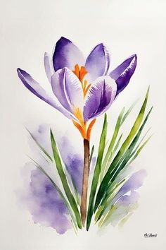 a watercolor painting of a purple flower with green leaves on the bottom and yellow center