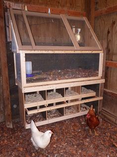 two chickens are standing in front of a large chicken coop that is made out of wood