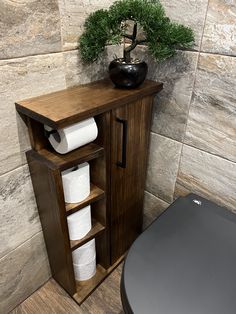 a wooden cabinet with several rolls of toilet paper in it and a potted plant next to it