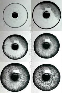 four different types of eyeballs in black and white