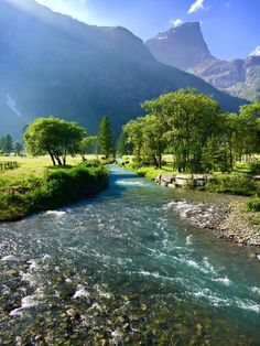 a river running through a lush green valley