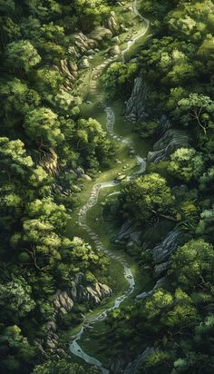 an aerial view of a river running through a lush green forest