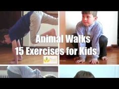 Are you looking for simple exercises to add to your child's sensory diet? These 15 animal walks are excellent for gross motor development and sensory input. Animal Exercises, Animal Walks, Toddler Storytime, Occupational Therapy Kids, Infant Lesson Plans, Pediatric Physical Therapy