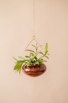 a hanging planter with plants in it on a beige wall behind a gold chain