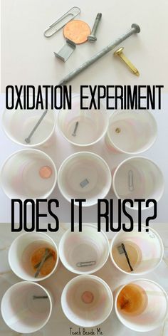 there are many cups that have different tools in them and the words oxiation experiment does it rust?