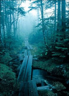 a wooden bridge in the middle of a forest with fog and trees on both sides