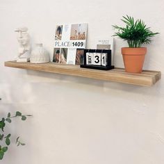 there is a shelf with books and plants on it