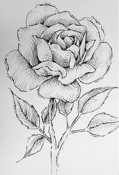 a black and white drawing of a rose